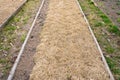 Garden bed with dry grass mulch. The soil of the garden is covered with straw from frost, mulching