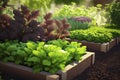 Garden beds with arugula. Generative AI