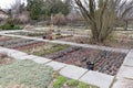 Garden beds in the nursery of ornamental plants in the spring. Seedlings of various ornamental plants in pots outdoors