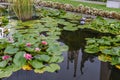 The garden of Bella island on lake Maggiore, Italy Royalty Free Stock Photo