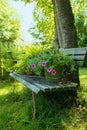 Garden bench with flowers on a tablett