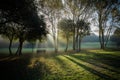 Garden bench in the middle of trees and beautiful light peeking through the branches. City park of Porto