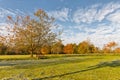 Garden bench under a tree, in autumn park landscape Royalty Free Stock Photo