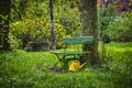 Garden bench with yellow ewer