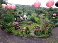 Garden with benches rice field view after rain