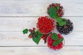 Garden berries are collected in bowls on a white table: black currant, red currant, gooseberry, raspberry Royalty Free Stock Photo