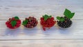 Garden berries in glass plates on a white wooden table: red currant, black currant, raspberry, gooseberry Royalty Free Stock Photo