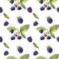 Garden berries hand draw seamless watercolor fabric pattern. Royalty Free Stock Photo