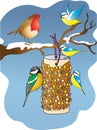 Garden birds feeding from a bird feeder in winter Royalty Free Stock Photo