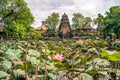 Garden with blooming sacred lotus flowers in front of Lotus Saraswati Temple in Ubud, Bali Royalty Free Stock Photo