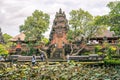 Garden with blooming sacred lotus flowers in front of Lotus Saraswati Temple in Ubud, Bali Royalty Free Stock Photo