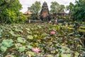 Garden with blooming sacred lotus flowers in front of Lotus Saraswati Temple in Ubud, Bali Royalty Free Stock Photo