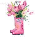 Garden boots with roses tulips romantic watercolor illustration. Spring garden composition of boots and flowers isolated on white