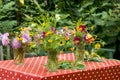 Garden bouquet annuals, The Netherlands Royalty Free Stock Photo