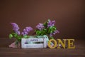 Garden box with lilac on a brown background, the inscription One, one year old child