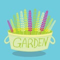 garden bucket 13