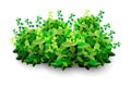 Garden bush. Green garden vegetation bushes icon