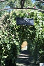 Garden Cafe - Dallas, Texas