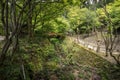 Garden canal in temple complex of Sanzen-in.