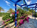 Garden on Cape Sarandaris Crete