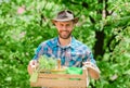 Garden care. Mature farmer man planting plants. Planting season. Bearded gardener guy hold box with flower pot and hoe Royalty Free Stock Photo