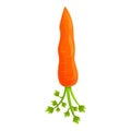 Garden carrot icon, cartoon style