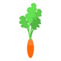 Garden carrot icon, isometric style