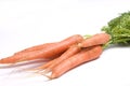 Garden carrots Royalty Free Stock Photo