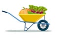 Garden cart with beetroot, pumpkin, cucumber.