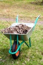 The garden cart with heap of dry leaves