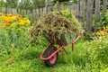 Garden cart in the kitchen garden Royalty Free Stock Photo