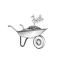 Garden cart with plant. Wheelbarrow with humus. Gardening sign.