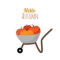 Garden cart with pumpkins. Autumn harvest. Halloween. Fall season.