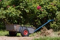 Garden cart Royalty Free Stock Photo