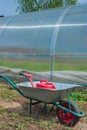 Garden cart and watering can Royalty Free Stock Photo