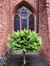 Garden Cathedral in Pelplin. Royalty Free Stock Photo