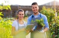 Garden Center Employees Royalty Free Stock Photo