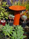 Garden center: subtropical modern plant display