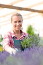 Garden center woman with lavender flowers smiling Royalty Free Stock Photo