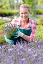 Garden center woman with lavender potted flowers Royalty Free Stock Photo