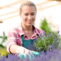 Garden center woman with lavender potted flowers Royalty Free Stock Photo