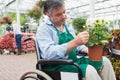 Garden center worker in wheelchair holding potted plant Royalty Free Stock Photo