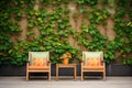 garden chairs in front of ivycovered wall Royalty Free Stock Photo