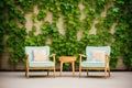 garden chairs in front of ivycovered wall Royalty Free Stock Photo