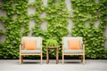 garden chairs in front of ivycovered wall Royalty Free Stock Photo