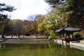 Garden of Changdeokgung Palace