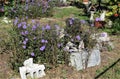 Garden with cinder blocks and purple flowers