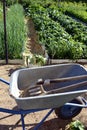 Garden cleaning equipment. Garden cart close up. Transporting manure, earth and grass in a cart in the garden. Agricultural work Royalty Free Stock Photo