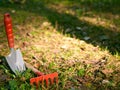 Garden cleaning, small shovel, rake, Royalty Free Stock Photo