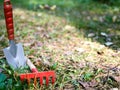 Garden cleaning, small shovel, rake, Royalty Free Stock Photo